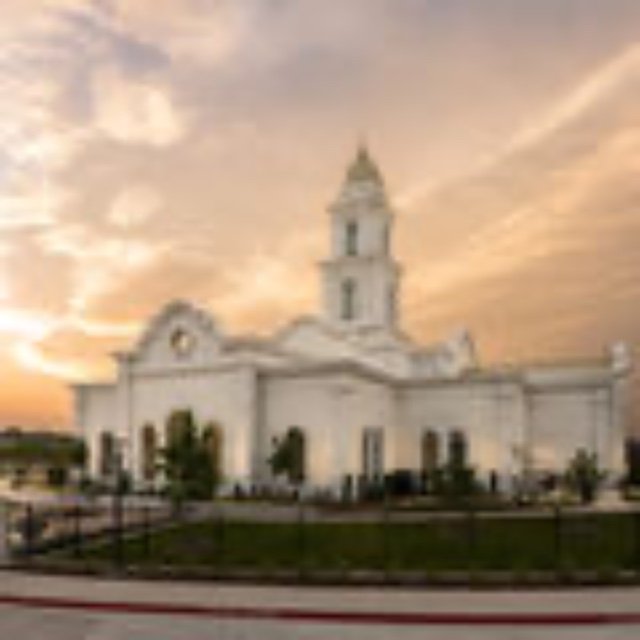 Fort Worth Temple Open House Volunteers